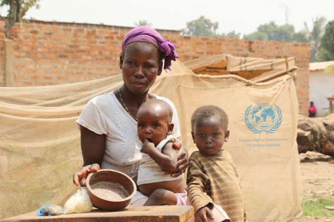 The Human Rights Commission Of United Nations Protection Of Vulnerable Groups